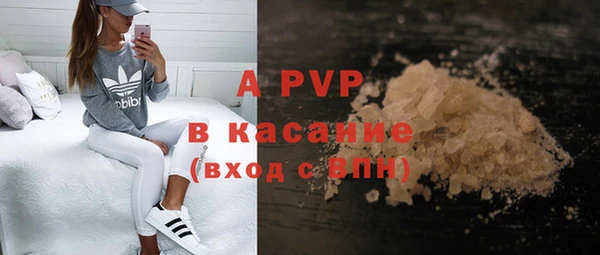 apvp Кукмор