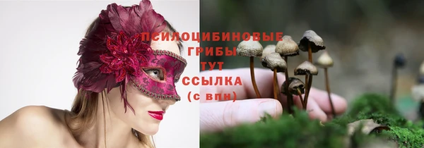 apvp Кукмор