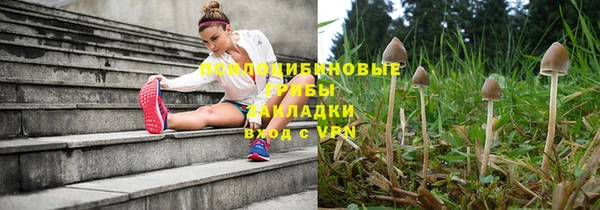 apvp Кукмор