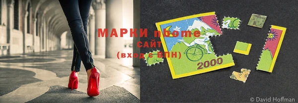 apvp Кукмор