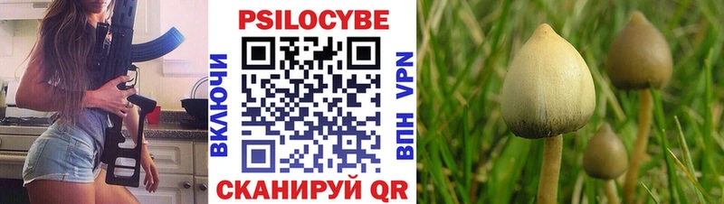 Купить  Камень-на-Оби  Галлюциногенные грибы Magic Shrooms 